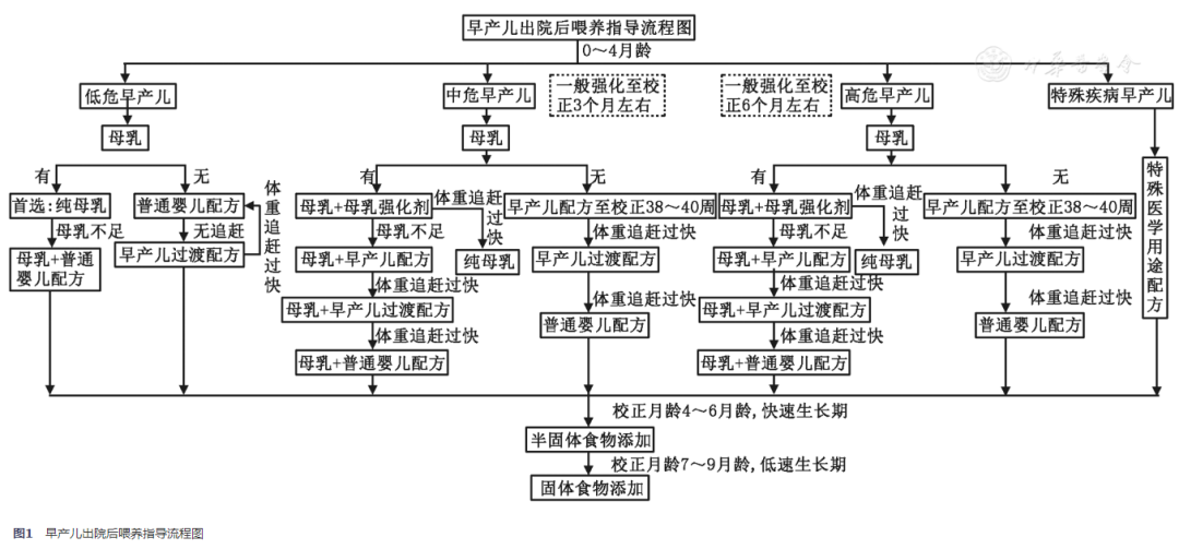 06-圖1早產(chǎn)兒出院后喂養(yǎng)建議.png