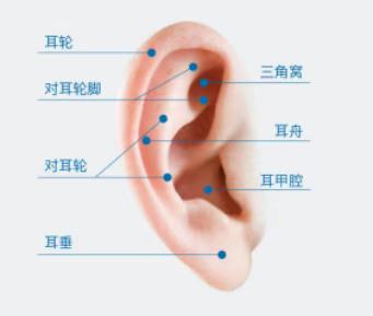 4d84b2cd420efa6e87cf06e6bc52e76.png 4d84b2cd420efa6e87cf06e6bc52e76.png