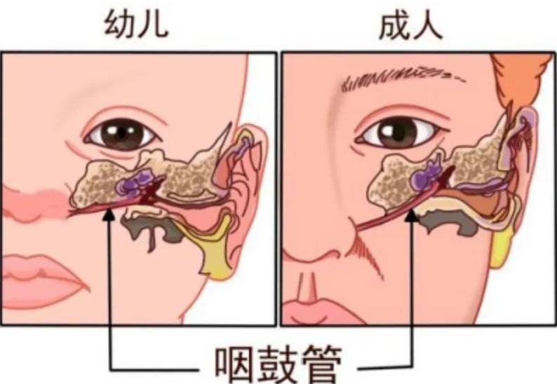 圖片1.png 圖片1.png