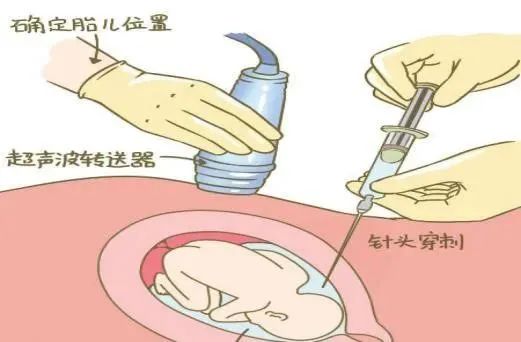 微信圖片_2025-06-25_151033_973.jpg 微信圖片_2025-06-25_151033_973.jpg
