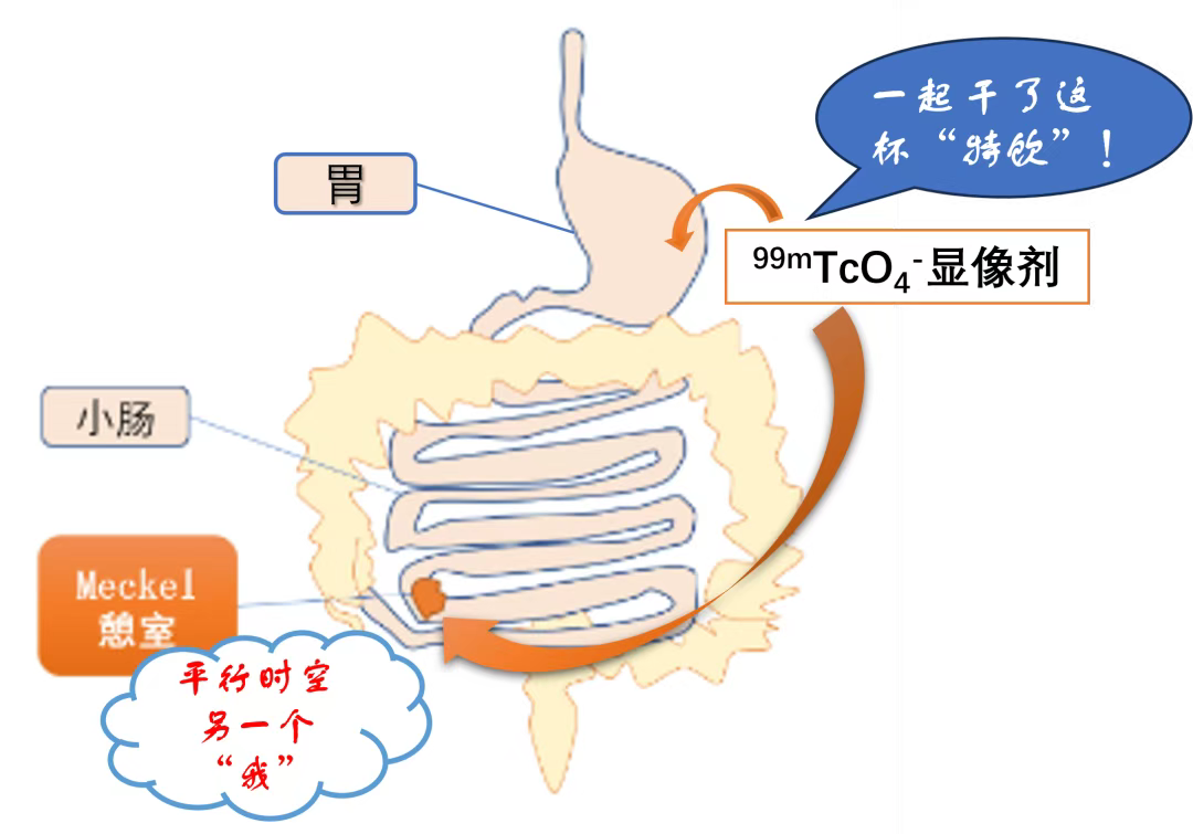 7aaa7de46cdb68a7f50139e88d146014.png 7aaa7de46cdb68a7f50139e88d146014.png