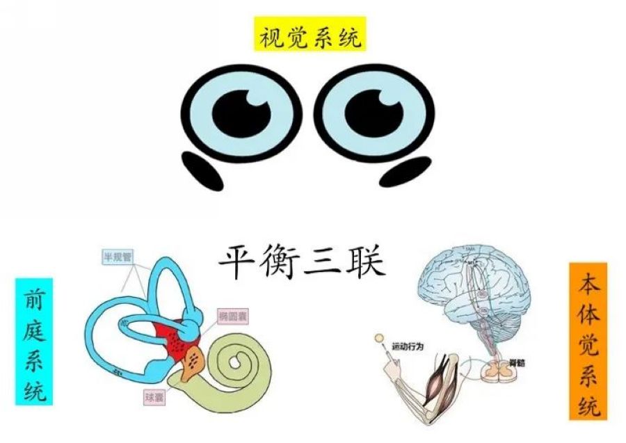 nEO_IMG_微信圖片_20220707163623.jpg